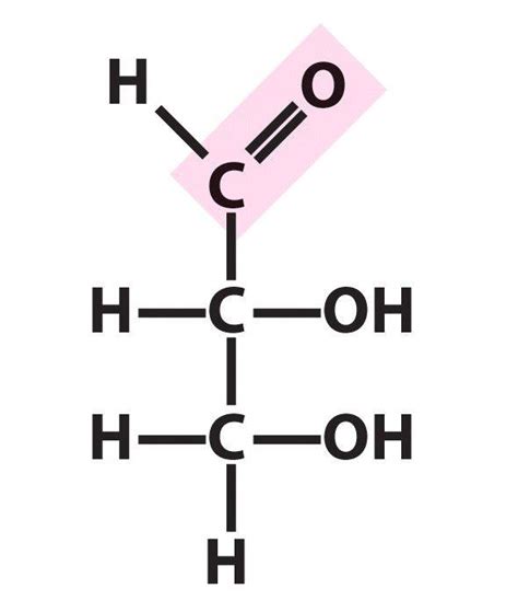 Carbohydrates - my biochemistry diary