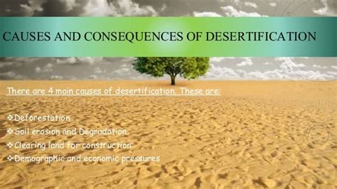 😊 Two causes of desertification. Desertification. 2019-02-16