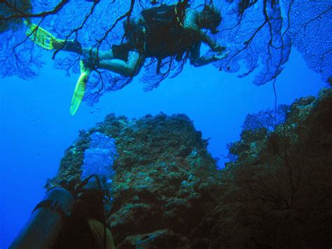 Out and About Thailand: Saipan - Diving the Grotto