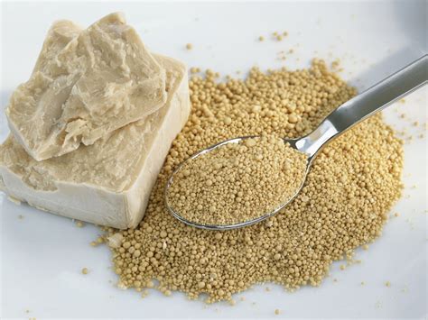 Yeast Extract: The Key Ingredient for Meatless Recipes - Hiyeast