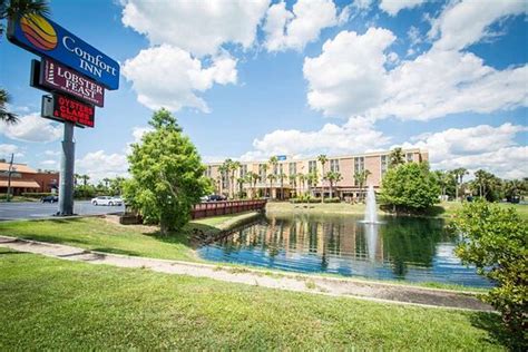 Experience - Review of Comfort Inn Kissimmee By The Parks, Kissimmee ...