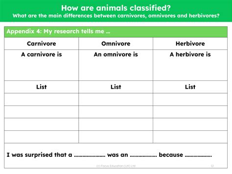 What are the main differences between carnivore, omnivore and herbivore? | Science Kindergarten