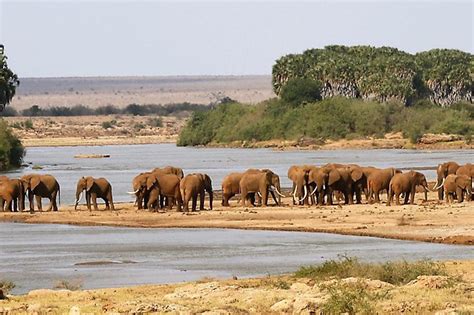 Tsavo West National Park | Join Up Safaris