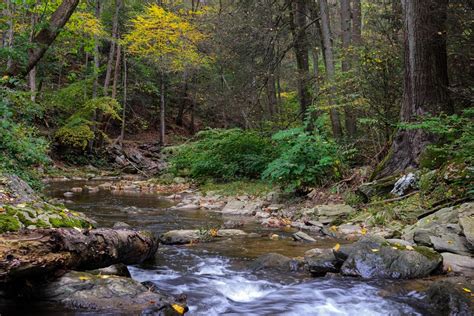 Blue ridge parkway, NC. : r/Outdoors