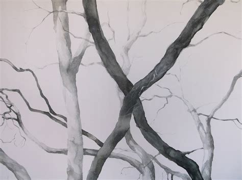 Sycamore Tree Sketch at PaintingValley.com | Explore collection of Sycamore Tree Sketch