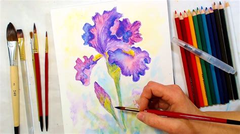 Iris Watercolor Pencil Drawing and Painting Tutorial | Watercolor ...