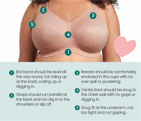 When To Have A Bra Fitting