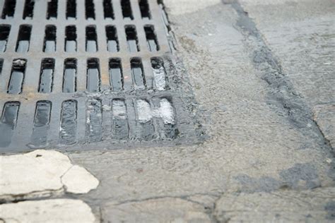 Blocked Drain – The Common Cause in Houses - Get Advance Info