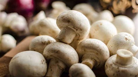 How to Grow Mushrooms on a Budget