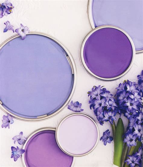 Hyacinth Purple Paint Color Schemes, Paint Color Palettes, Grey Paint Colors, Purple Paint ...