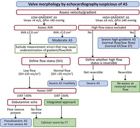 low flow low gradient aortic stenosis review - Lynnette Knott