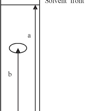 The retention factor (R f ). | Download Scientific Diagram