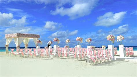 Beach Themed Wedding · Free Stock Photo