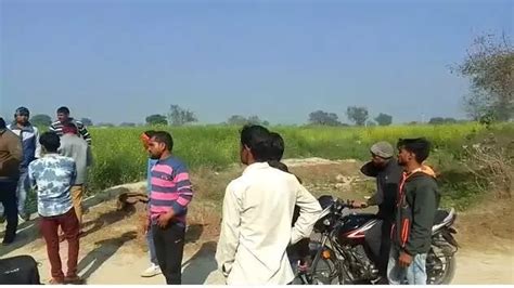 Aligarh News Today, Aligarh School closed on information about leopard coming in village Kithara ...