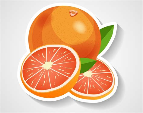 Grapefruit Clipart - Clipart.World