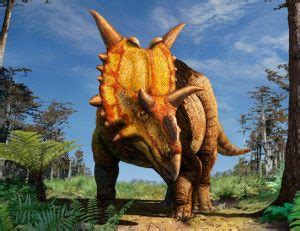 Xenoceratops, A New Species of Horned Dinosaur Discovered in Canada