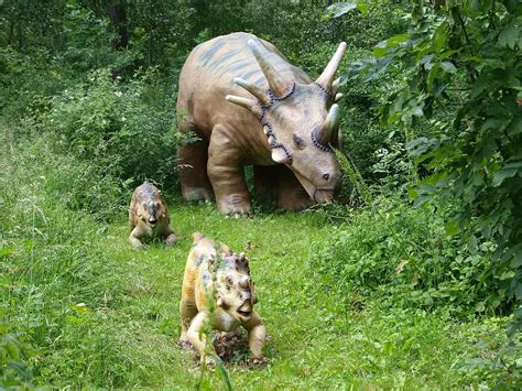 10 Facts About Styracosaurus