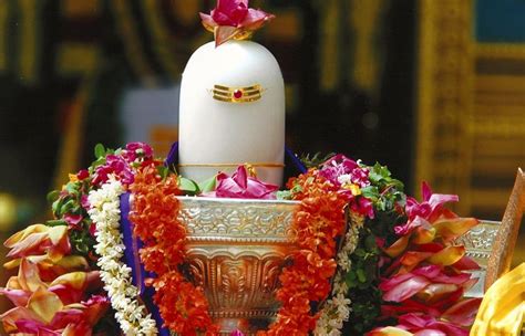 Rudra Puja of Lord Shiva - Laghu Rudra or Maha Rudrabhishek