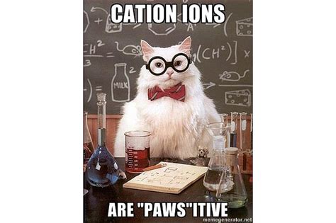 Best of Chemistry Cat, the Science Meme