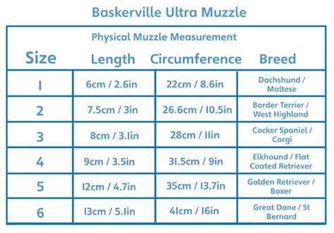 Doggy Dan’s Guide to Safe Muzzle Use for Dogs