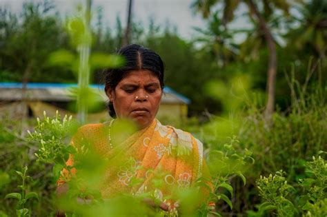 Rural Indian Women farming in flower field | In Tamil Nadu, … | Flickr