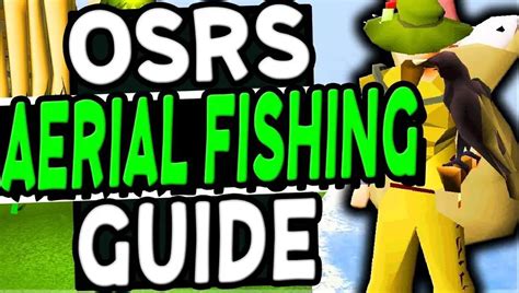 OSRS Ariel Fishing Guide - Best OSRS Guides