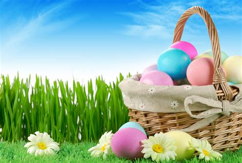 🔥 [50+] Easter Flowers Wallpapers | WallpaperSafari