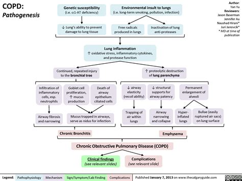 COPD: Pathogenesis | Calgary Guide