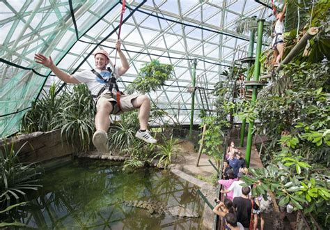 Hi-ZOOM | Cairns Zoom & Wildlife Dome