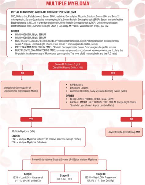 An Overview of Multiple Myeloma Test - Dr Lal PathLabs Blog