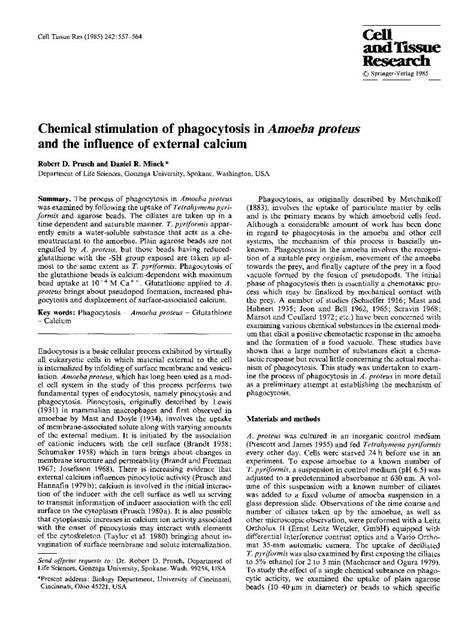 (PDF) Chemical stimulation of phagocytosis in Amoeba proteus and the influence of external ...