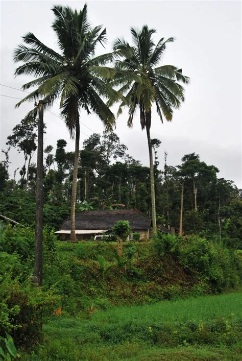 Coorg Tourism - LIST OF HOMESTAYS IN KODAGU (COORG) APPROVED BY KARNATAKA GOVT