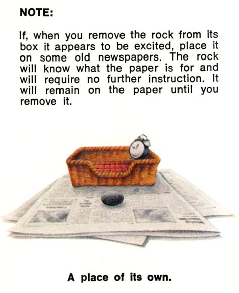 How the Pet Rock was one of the hottest novelty products of the 1970s - Click Americana