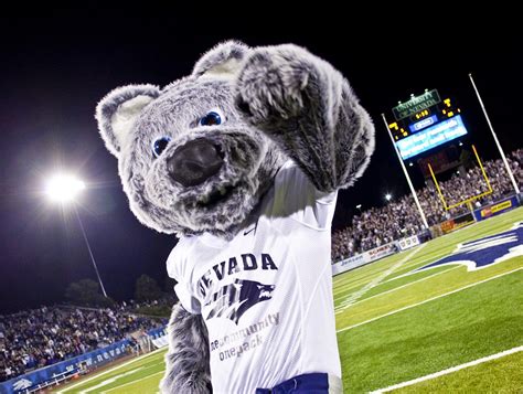 66 Wolf Pack student-athletes to graduate this spring and summer | University of Nevada, Reno