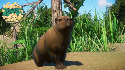 Capybara Habitat | Planet Zoo Speed Build | Planet Zoo Wetlands Animal Pack - YouTube