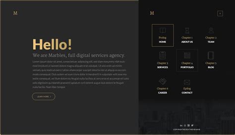 Black And Gold Website Templates