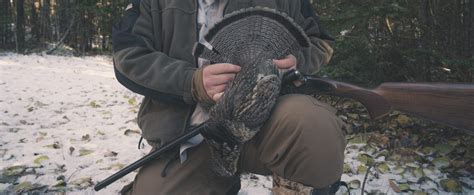 A Basic Guide on How to Hunt Ruffed Grouse - Project Upland Magazine