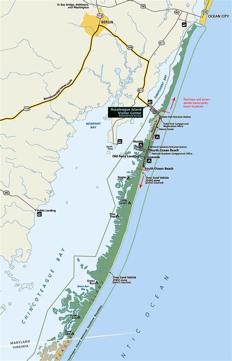 Assateague Island National Seashore | MARYLAND BEACHES