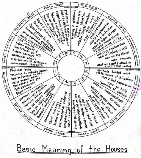 Astrology Natal Chart Houses - Chart Examples