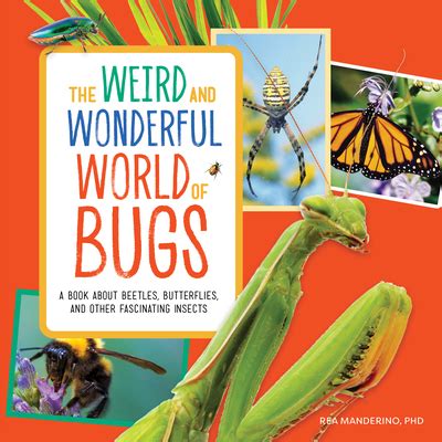 The Weird and Wonderful World of Bugs: A Book about Beetles, Butterflies, and Other Fascinating ...