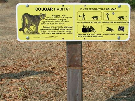 The Cougar Habitat - Drunkcyclist.com