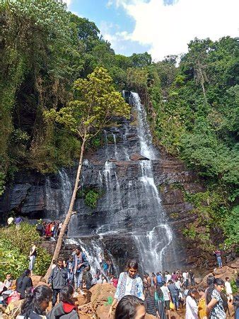 Jhari Waterfalls (Chikmagalur) - 2019 What to Know Before You Go (with Photos & Reviews ...