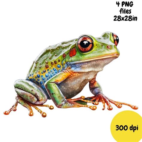 Frog Print, Frog Watercolor, Frog Clipart PNG, Printable Digital ...