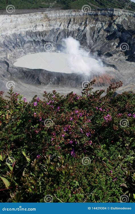 Crater and Lake of Volcano Poas Stock Photo - Image of blue, full: 14429304