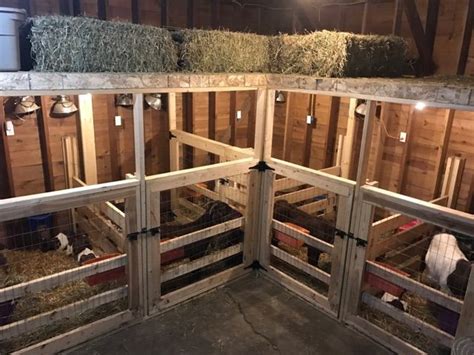 Goat birthing pens | Goat house, Goat barn, Goat farming