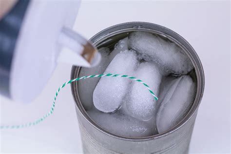 Ice Fishing Science Experiment for Kids