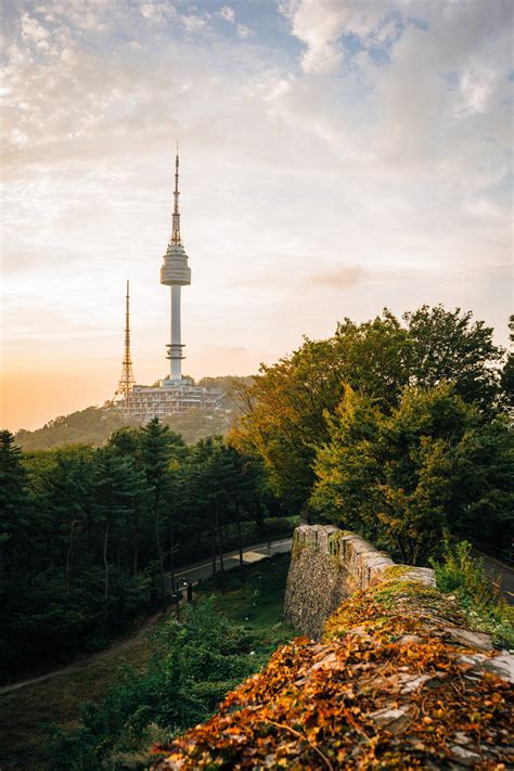 Download Seoul Tower At Namsan Park Wallpaper | Wallpapers.com