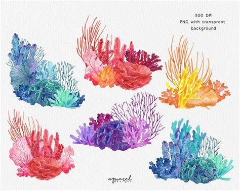 CORAL REEF | watercolor clip art, colorful corals, borders and frames, frame corners, Ocean ...