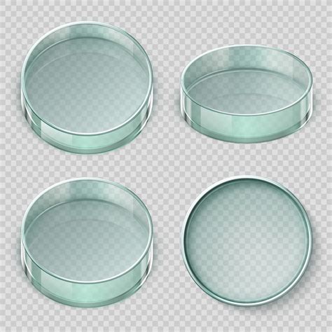 Premium Vector | Empty glass petri dish. biology lab dishes vector illustration isolated on ...