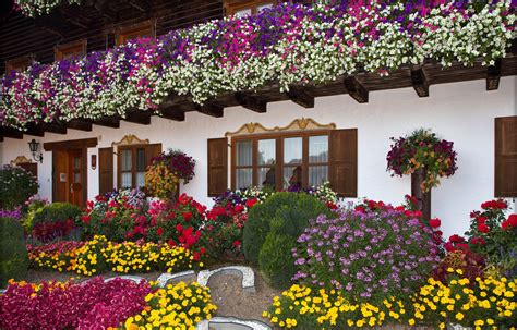 germany, Houses, Roses, Tagetes, Petunia, Bavaria, Reisbach, Cities, Flowers Wallpapers HD ...